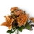 IMG_4734-Photoroom.jpg