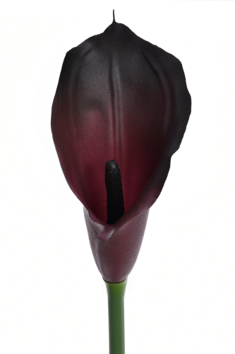 Kalla gumowa 1szt #221S burn plum (ANA1013) 