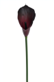 ANA1013#221S#BURN PLUM#1_m.jpg