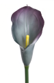 ANA1013#165S#GRAPPE#2_m.jpg