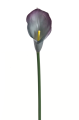 ANA1013#165S#GRAPPE_m.jpg