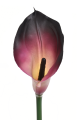 ANA1013#219S#CREAMY PLUM#2_m.jpg