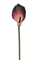ANA1013#219S#CREAMY PLUM#1_m.jpg
