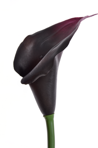 kalla gumowa 1szt #161 eggplant (ANA1013)