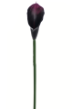 ANA1013#161#EGGPLANT_m.jpg