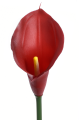 ANA1013#158#DEEP RED#2_m.jpg