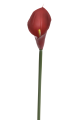 ANA1013#158#DEEP RED_m.jpg
