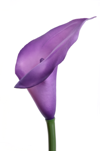 kalla gumowa 1szt violet 17T(ANA1013)
