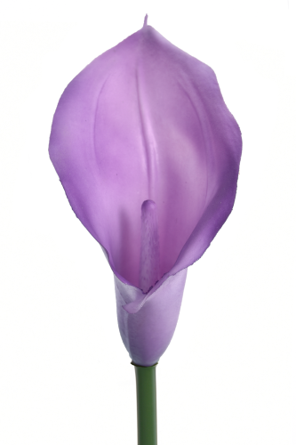 ANA1013#17T#VIOLET#2_m.jpg