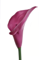 ANA1013#102S#FUCHSIA#3_m.jpg