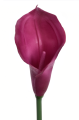 ANA1013#102S#FUCHSIA#2_m.jpg