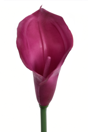 ANA1013#102S#FUCHSIA#2_m.jpg