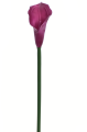 ANA1013#102S#FUCHSIA_m.jpg