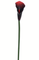 ANA1013#187#RED BLACK_m.jpg