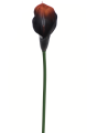 ANA1013#198C#BURN BROWN_m.jpg