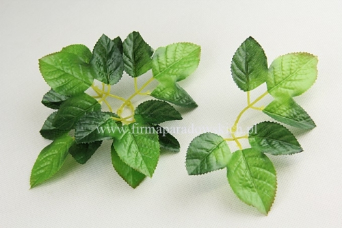 duże opakowanie podwójnych listków róży 1op/120szt zielony