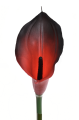 ANA1013#218S#BURN RED#2_m.jpg
