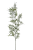 IMG_5058.png