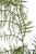 IMG_5060.png