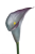 grappe.png
