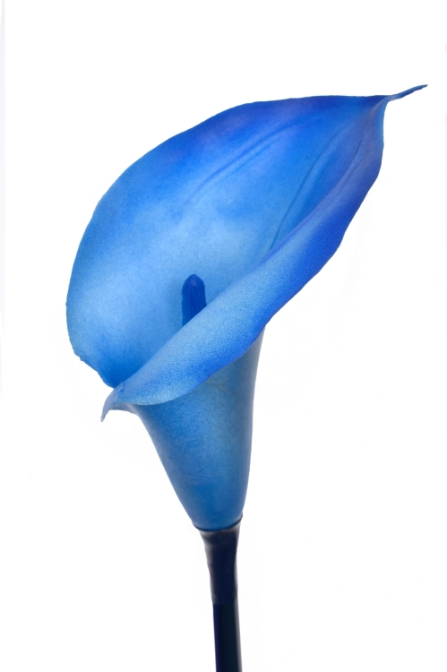 saphire.png