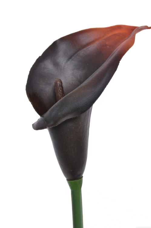 burn brown.png