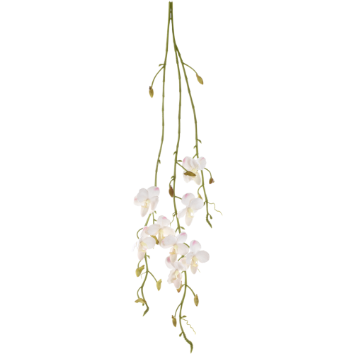 LEV048##WHITE#1_m.png