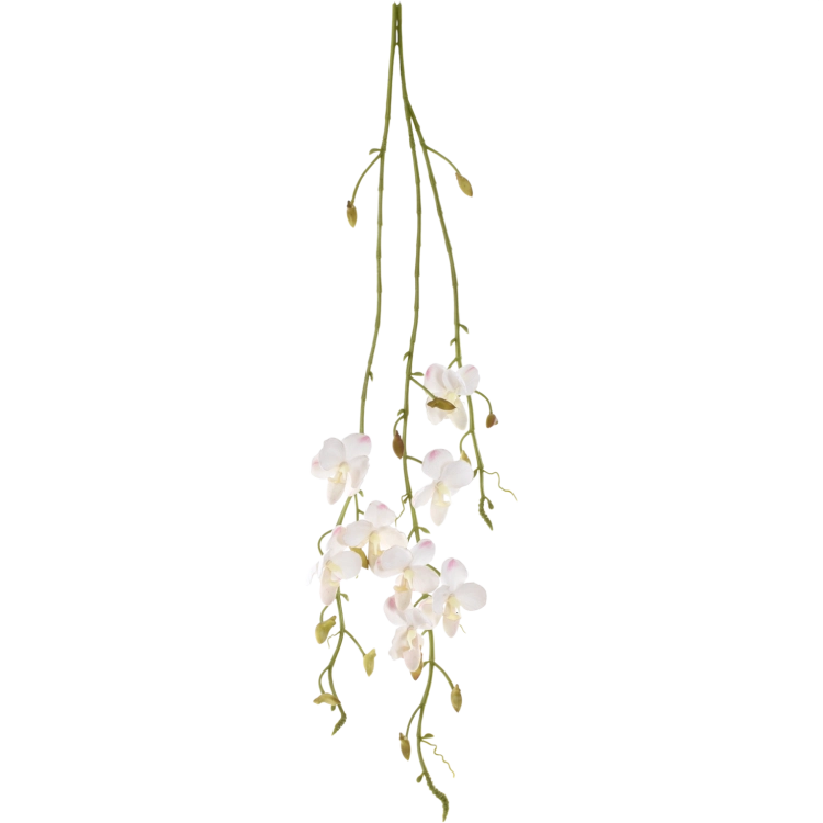LEV048##WHITE#1_m.png