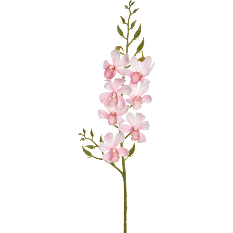 LEV034##MIX1#6_m.png