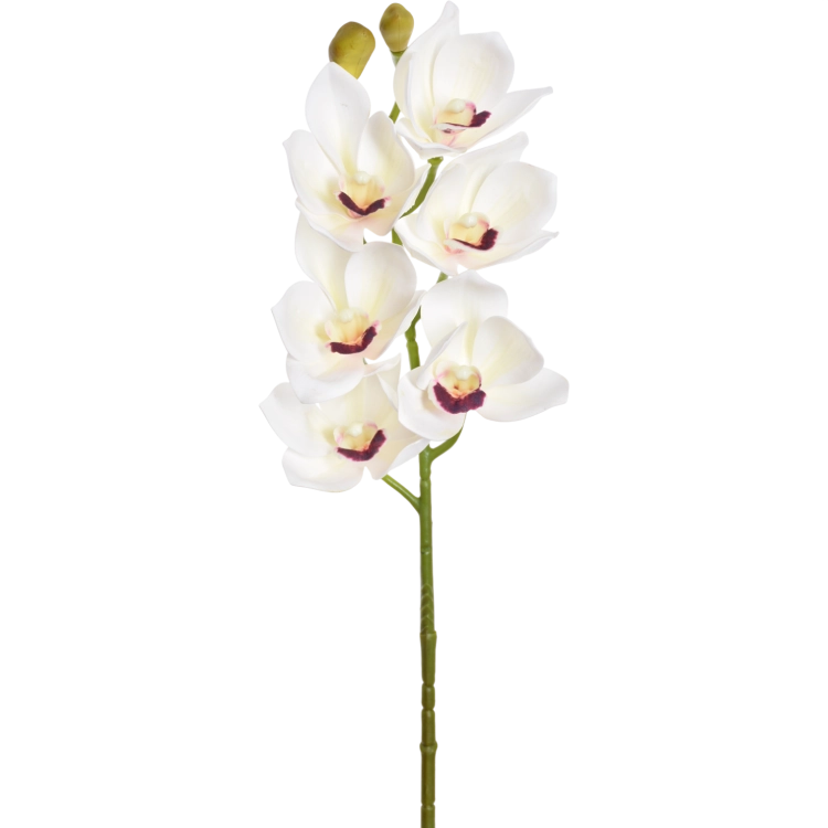 LEV016##WHITE_m.png
