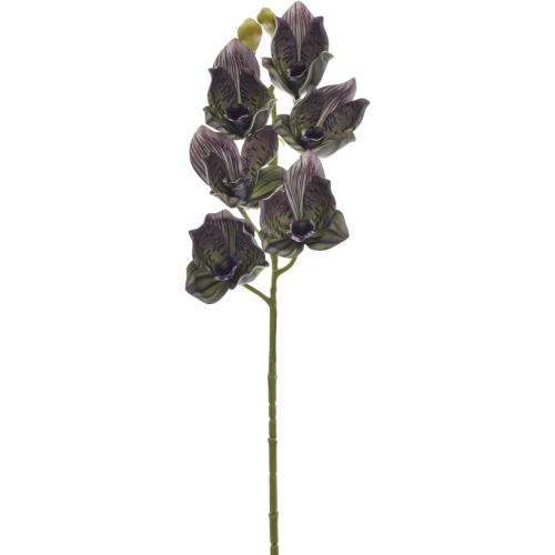 LEV016##GREEN VIOLET_m.png