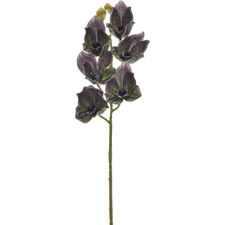 LEV016##GREEN VIOLET_m.png