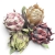 AF5FD0E5-14F6-4AB8-BF3B-A37AD98BC089-Photoroom.jpg