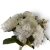 IMG_6174-Photoroom.jpg