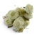 IMG_0468.jpg