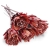 protea-repens-cut-szroniona-czerwona-1.jpg
