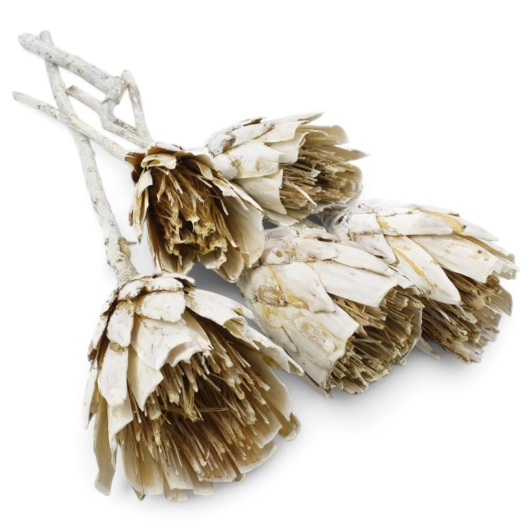 repens-cuts-szroniony-bialy-white-washed-1.jpg