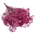 gipsowka-premium-burgundowa-1-allegro.jpg