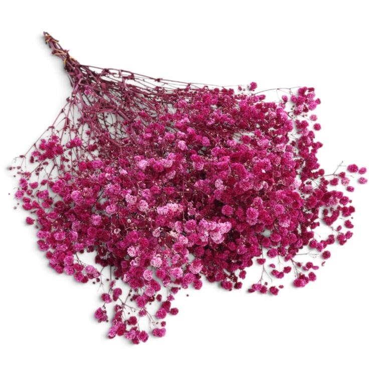 gipsowka-premium-burgundowa-1-allegro.jpg