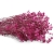 gipsowka-premium-burgundowa-2.jpg