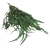 eukaliptus-willow-waskie-liscie-CH-zielony-1.jpg