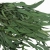 eukaliptus-willow-waskie-liscie-CH-zielony-3.jpg