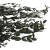 eukaliptus-parvifoglia-CH-zielony-2.jpg