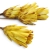 repens-cuts-zolty-2.jpg