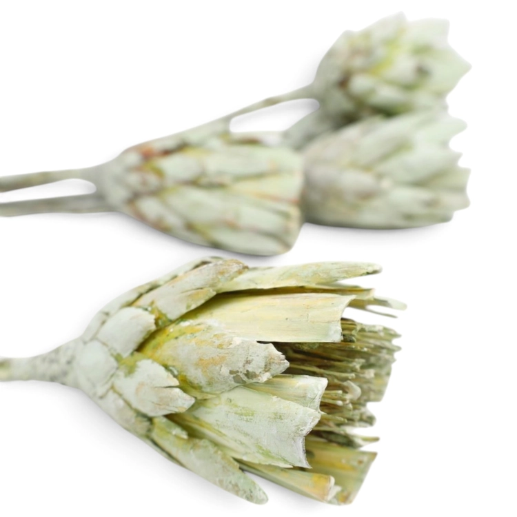 repens-cuts-szroniony-zielen-2.jpg