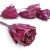 protea-repens-cut-szroniona-jezynowa-3.jpg