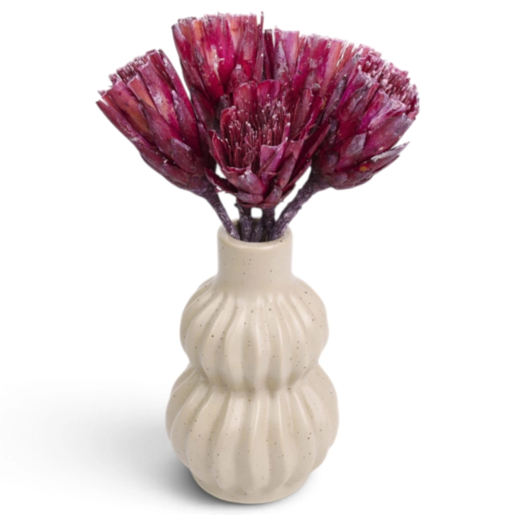 protea-repens-cut-szroniona-jezynowa-4-720x720.jpg