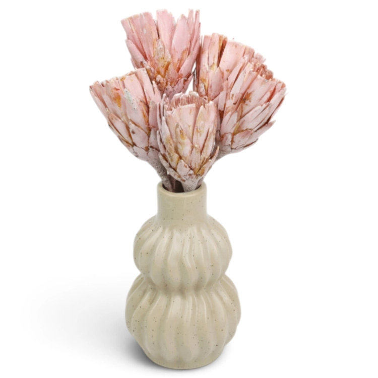 repens-cuts-szroniony-roz-4-720x720.jpg