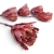 protea-repens-cut-szroniona-czerwona-3.jpg