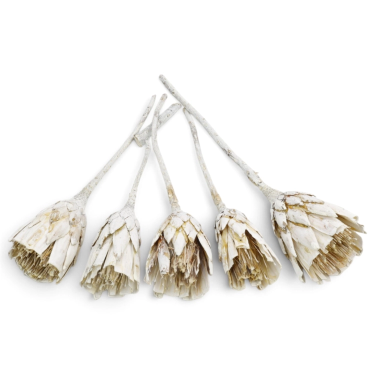 repens-cuts-szroniony-bialy-white-washed-3.jpg